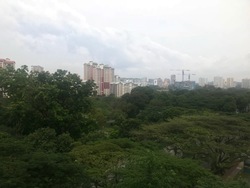 Blk 315A Ang Mo Kio Street 31 (Ang Mo Kio), HDB 4 Rooms #178376992